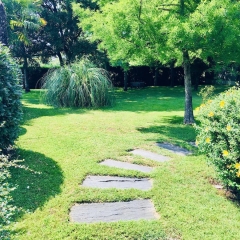 img Grand parc arboré & chemin